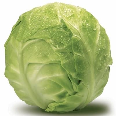 Kupus mladi 1kg-slika