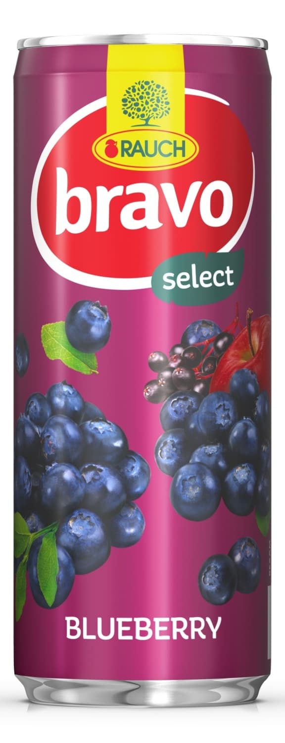 Voćni sok RAUCH Bravo borovnica 250ml-slika