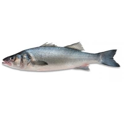 Brancin 1kg-slika