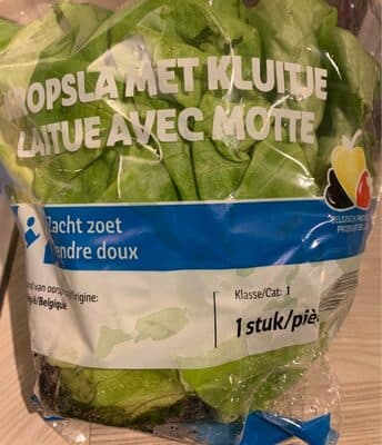 Zelena salata puterica, komad 1kom.-slika